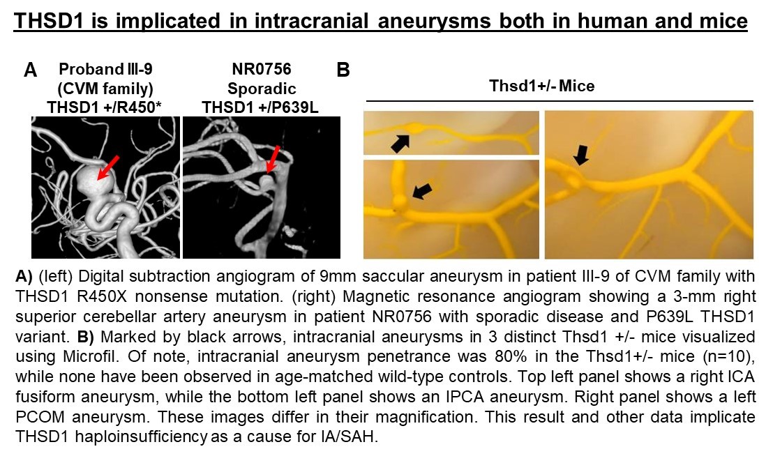 Hagan lab image 2