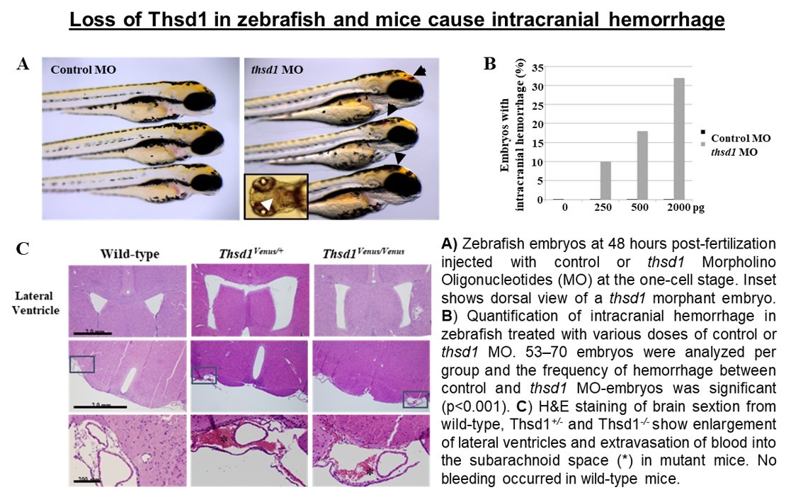 Hagan lab image 3