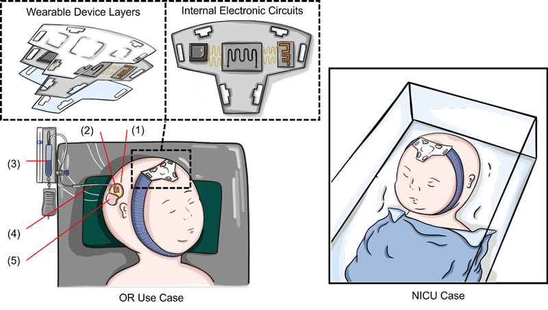 Peter Yang MD lab image illustration 3