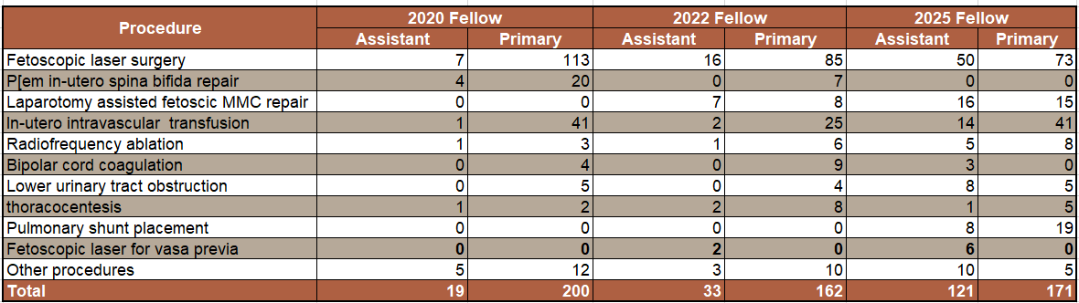 Fellows data 2025