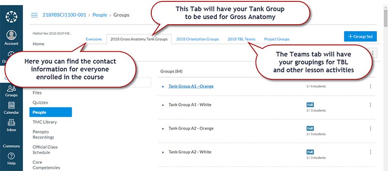 Location of top tabs: Everyone, Tank Group and Teams.