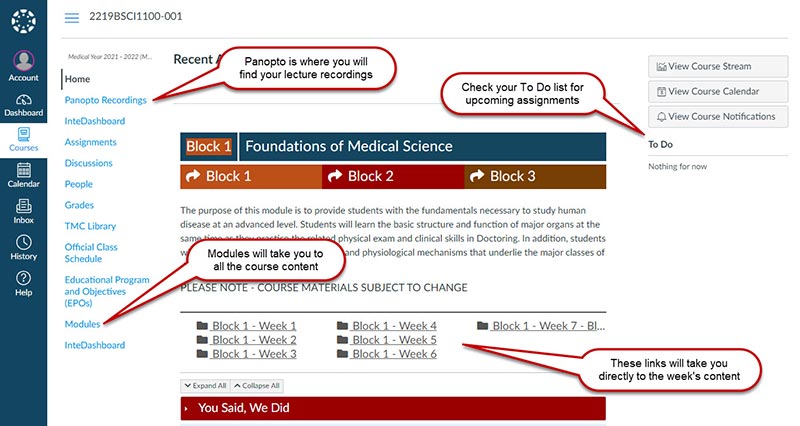 Location of Panopto and Modules menu links, the To Do list, and the direct links to the week's content,