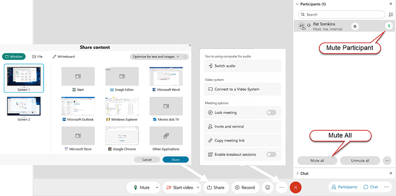 Location of the Share, More, and Mute buttons on the Webex meeting page.