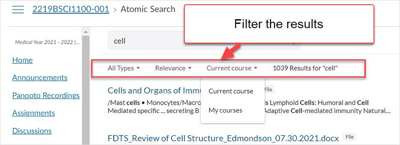 Shows location of the atomic search filters on a Canvas page.
