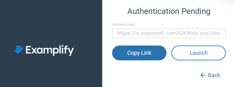 Examplify authentication pending page.