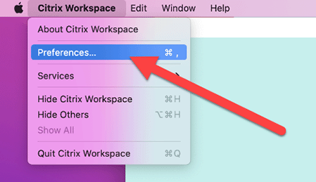 Citrix Workspace dropdown menu with Preferences highlighted.