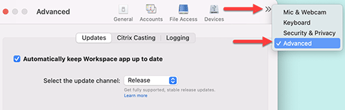 Citrix advanced options drop down menu.