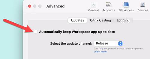 Citrix workspace checkbox for automatic updates.
