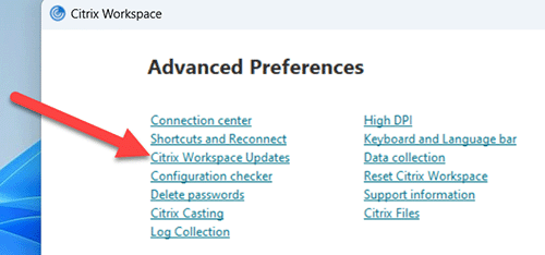 Citrix workspace with workspace updates highlighted.