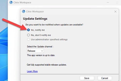 Citrix workspace checkbox for automatic updates.