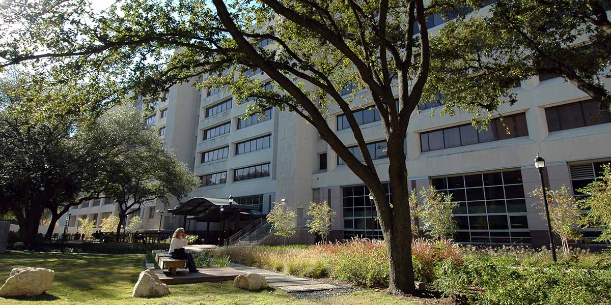 Webber Plaza located between the McGovern Medical School building and the Jesse Jones Library building.