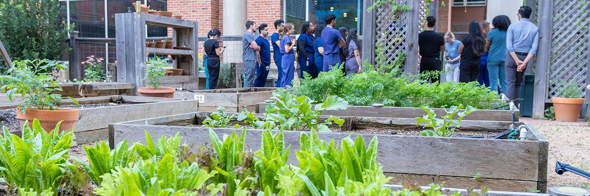 instructor and students at the Holistic Garden