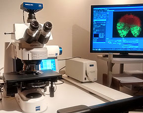Zeiss AxioImager with Apotome