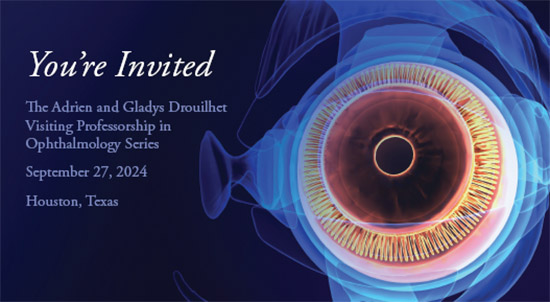 Drouilhet meeting banner image