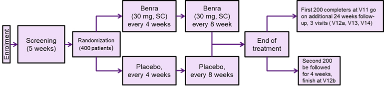 Flow chart of trial phases