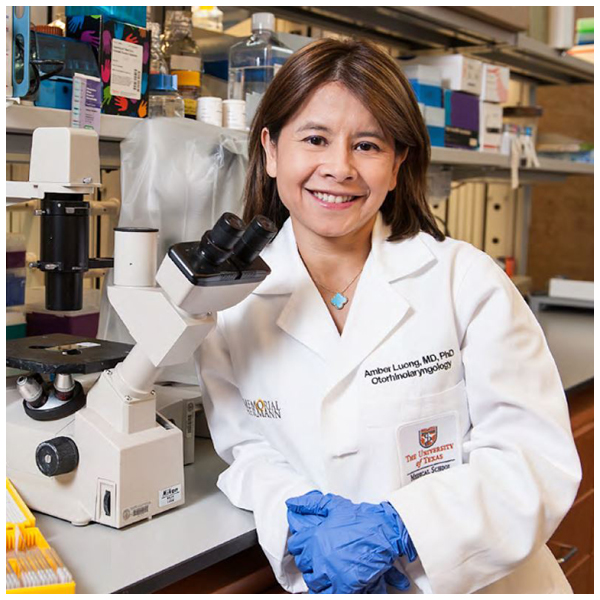 image from Dr. Amber Luong Named Vice Chair for Research