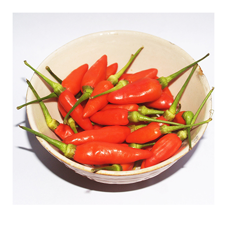 image from Trial Results Show Benefits of Intranasal Capsaicin for Patients with Nonallergic Rhinitis