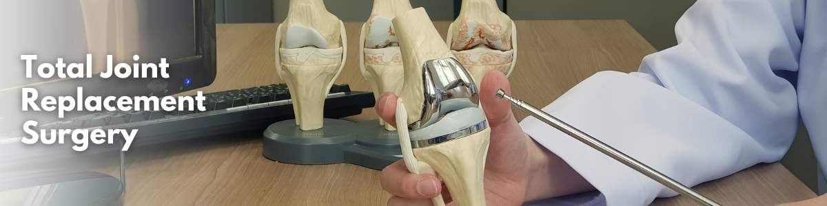 Total knee replacement model