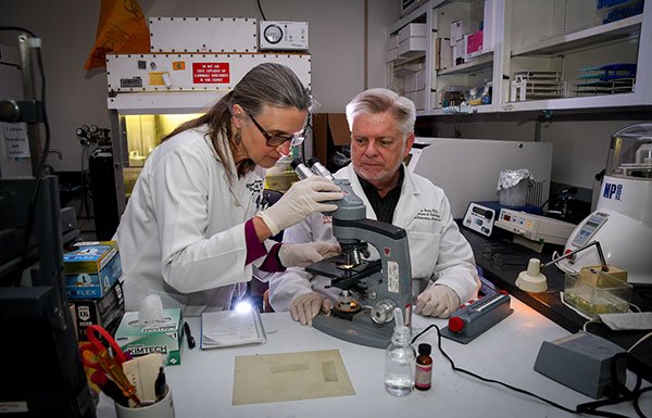 image from UTHealth microbiologists make breakthrough in syphilis research