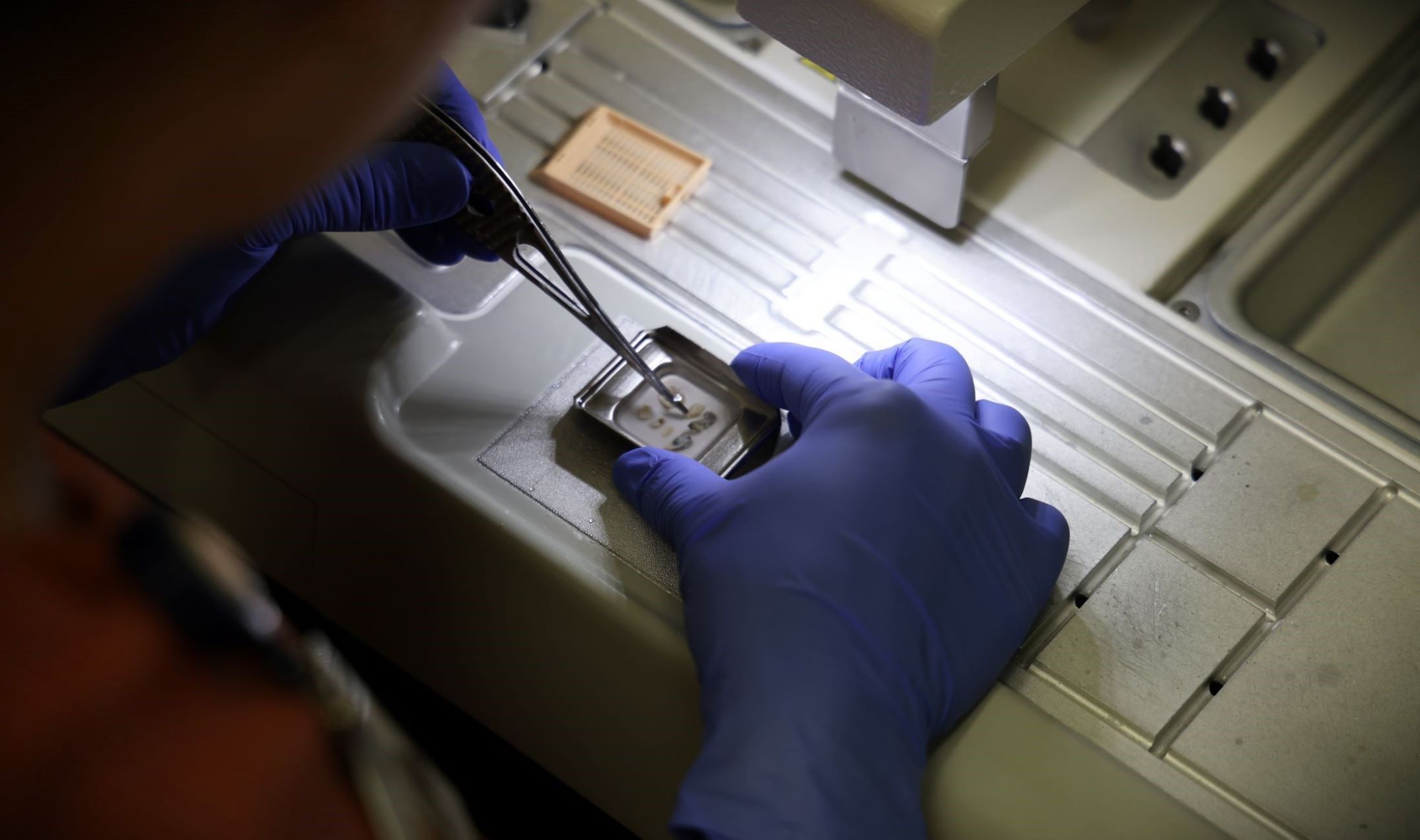 Person embedding tissue in paraffin.