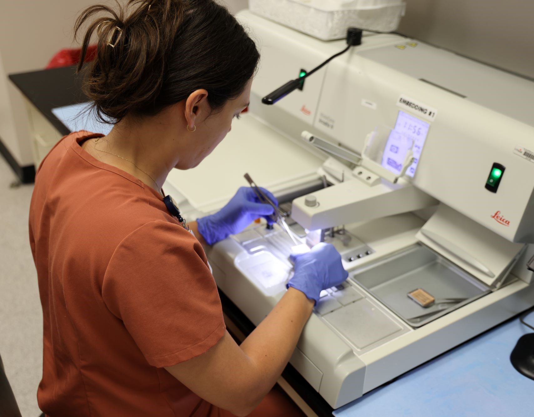 Person embedding tissue in paraffin.