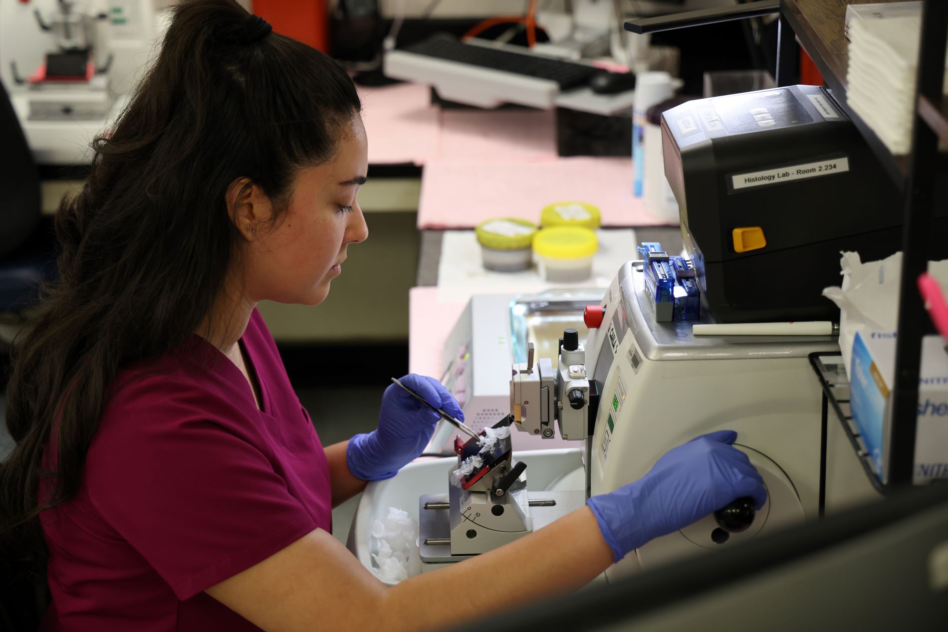 Histotech cutting embedded sample