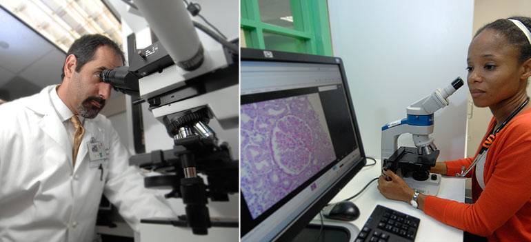 Two researchers look through microscopes