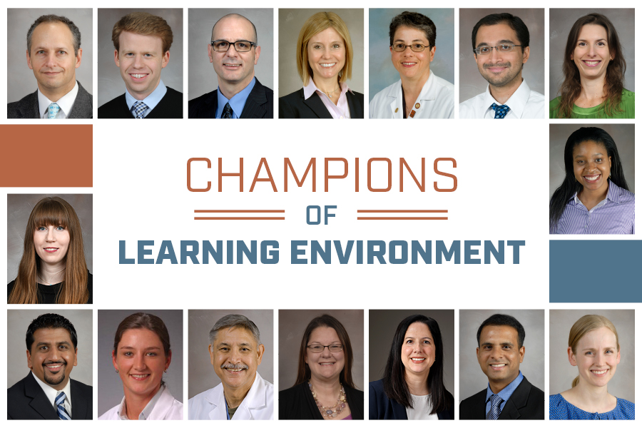 16 faculty members named inaugural Champions of Learning Environment