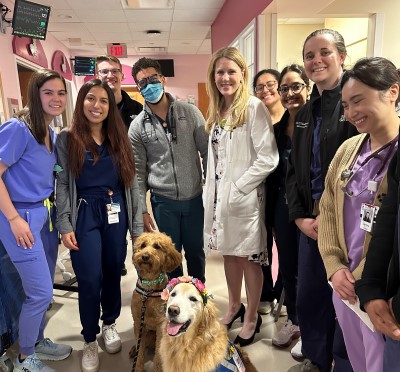 Fellows and attending with service dogs in hospital