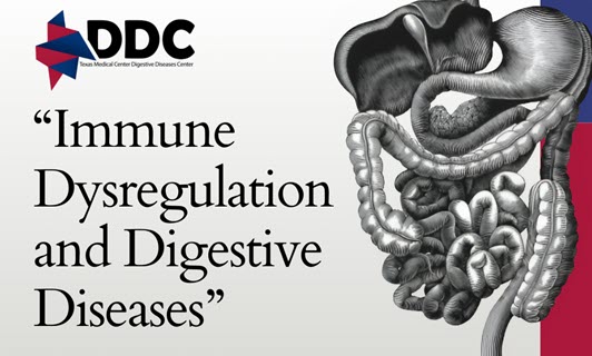 Text and picture of digestive system organs