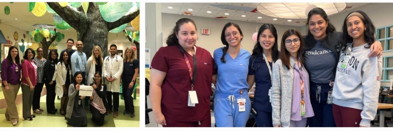 Groups of doctors posing in the hospital