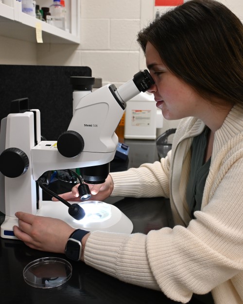 Researcher looking through microscope