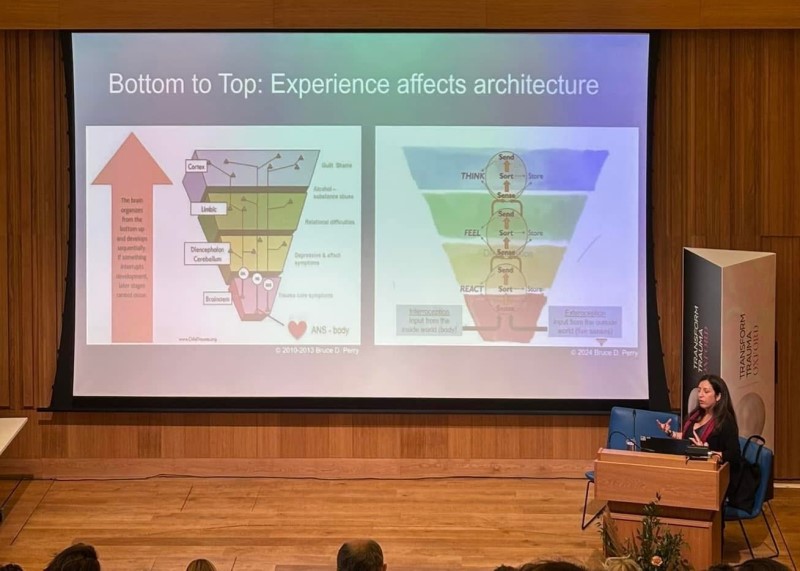 Dr. Ruggiero speaking at podium on stage