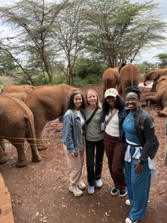 Four women standing in front of baby elephants