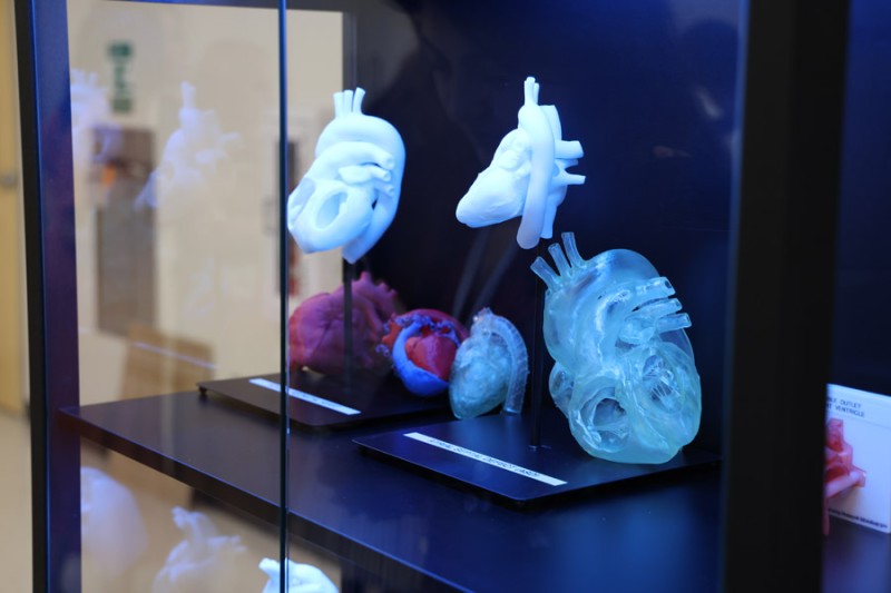 image from Pediatric cardiology home to new center driving breakthroughs in congenital heart disease