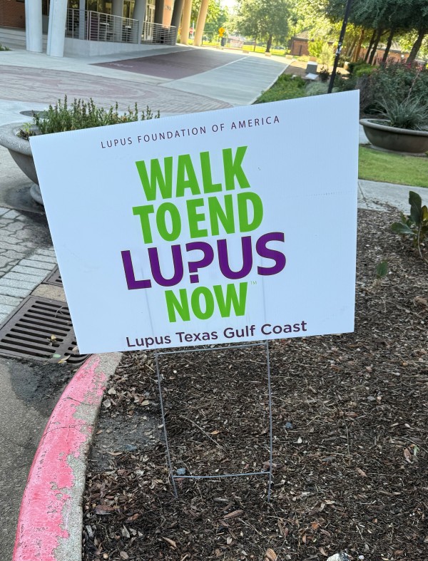 Sign stuck in the dirt that reads "Walk to End Lupus Now"