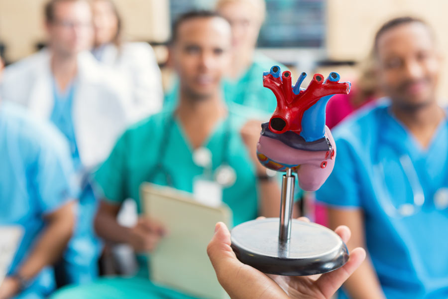 Hand holds up heart model in front of doctors in scrubs