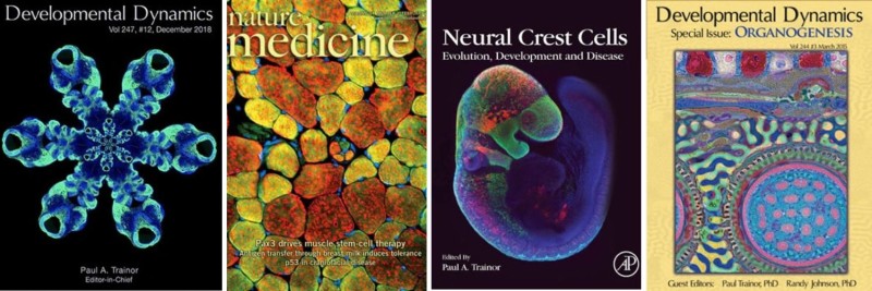Collage of magazine cover images featuring Dr. Trainor's work