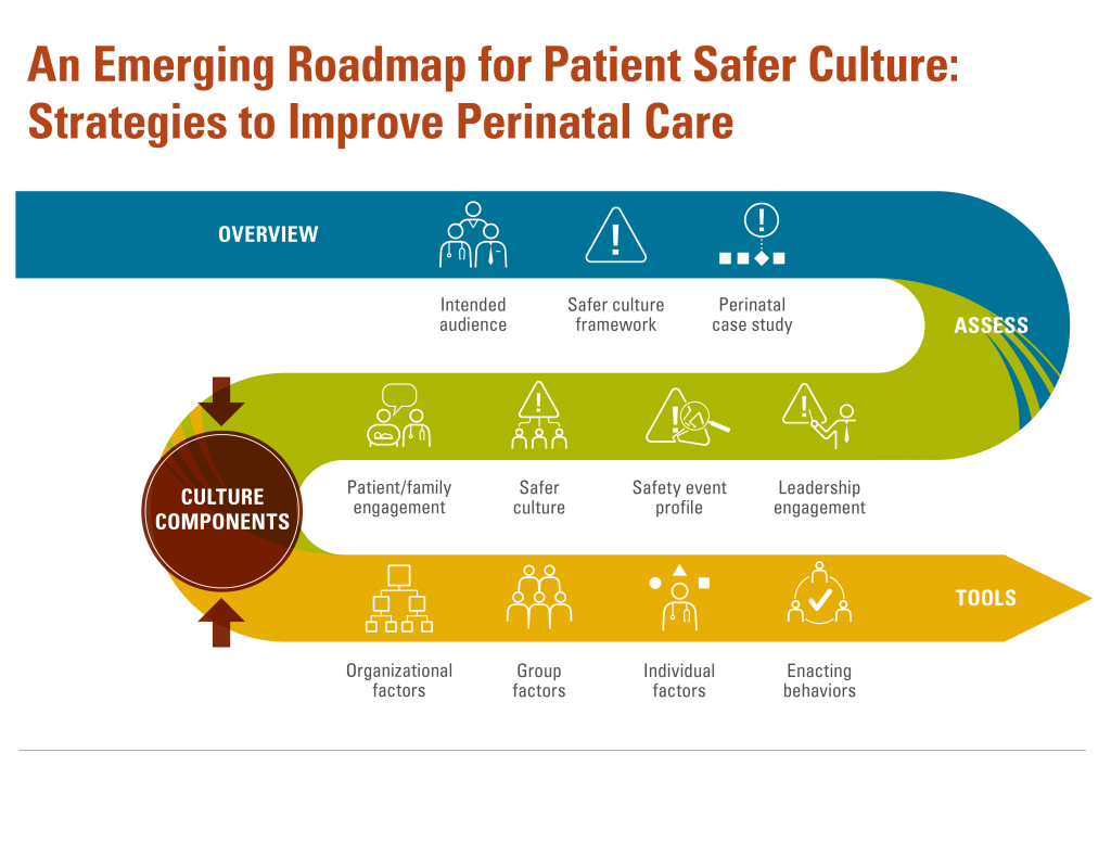 An Emerging Roadmap for Patient Safer Culture