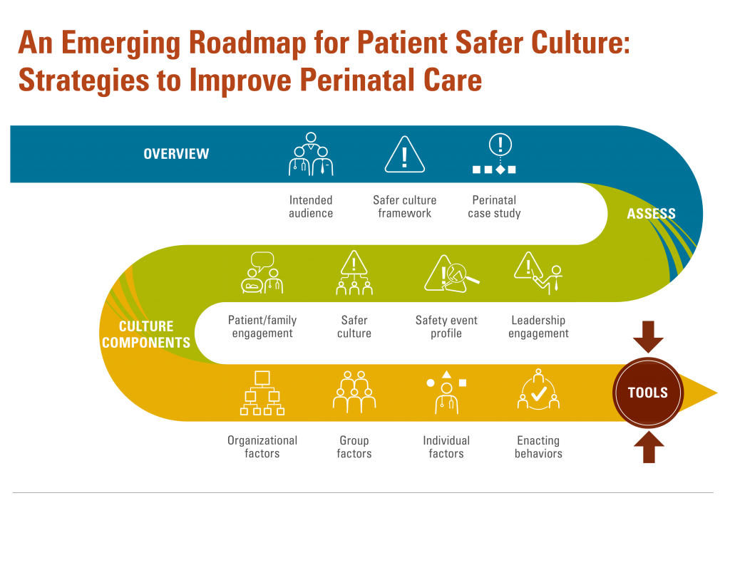 An Emerging Roadmap for Patient Safer Culture