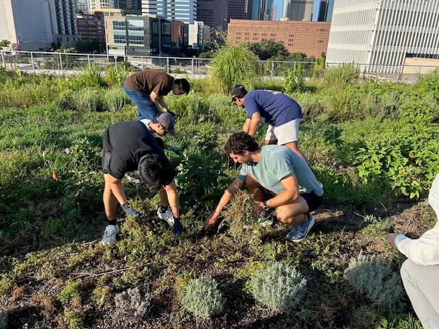 students helping the Blackwood Educational Land Institute for PLUS service-learning program