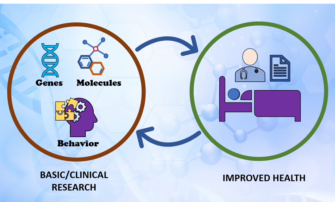 Role and Possible Molecular Mechanism of Physical Exercise in