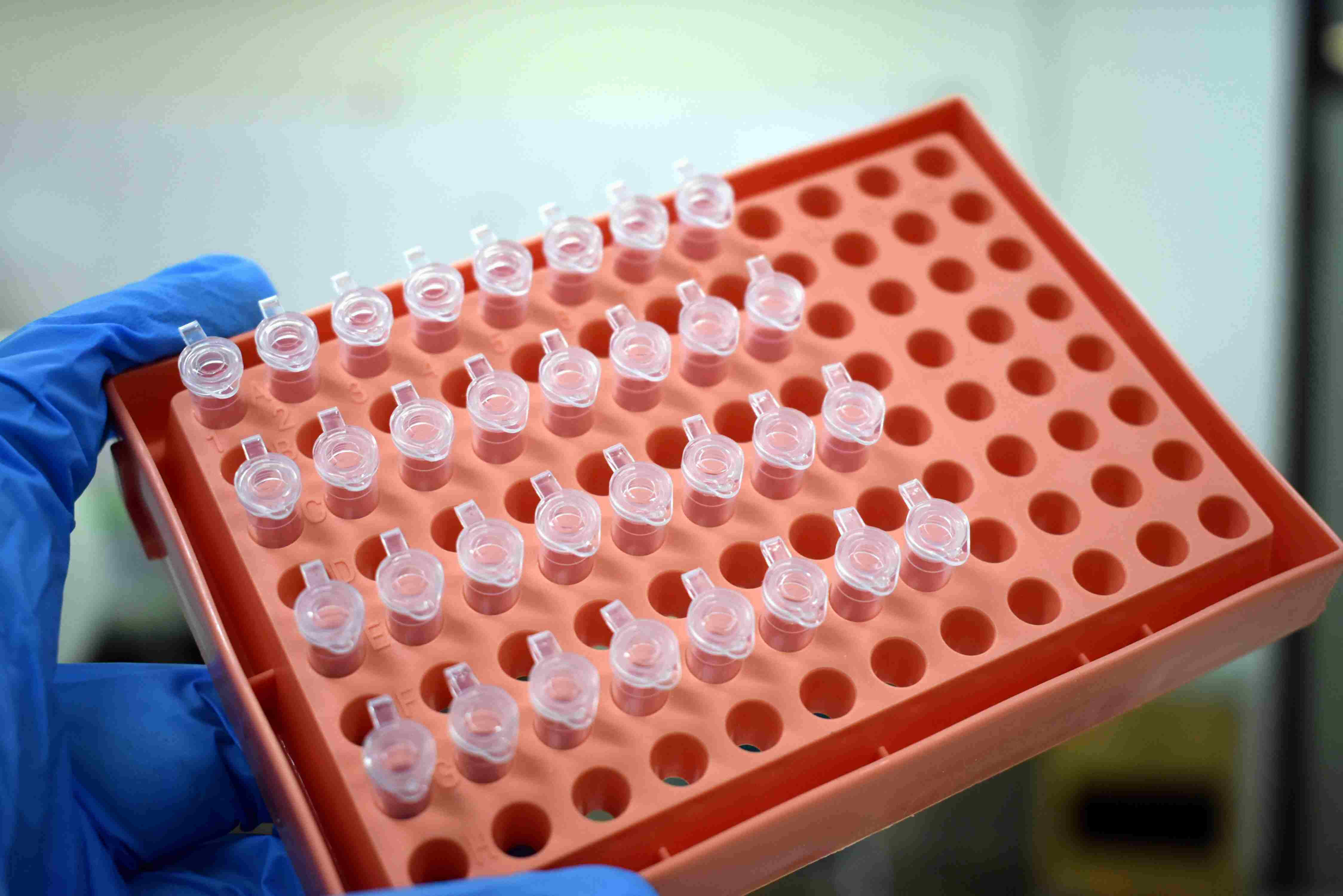 gloved hand holding lab equipment