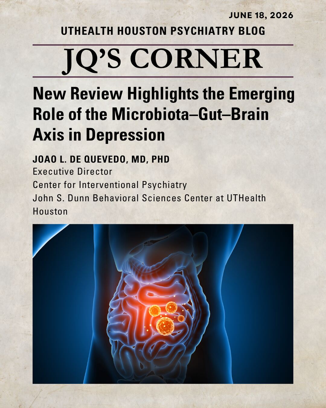 microbiota gut brain axis jq's corner blog post