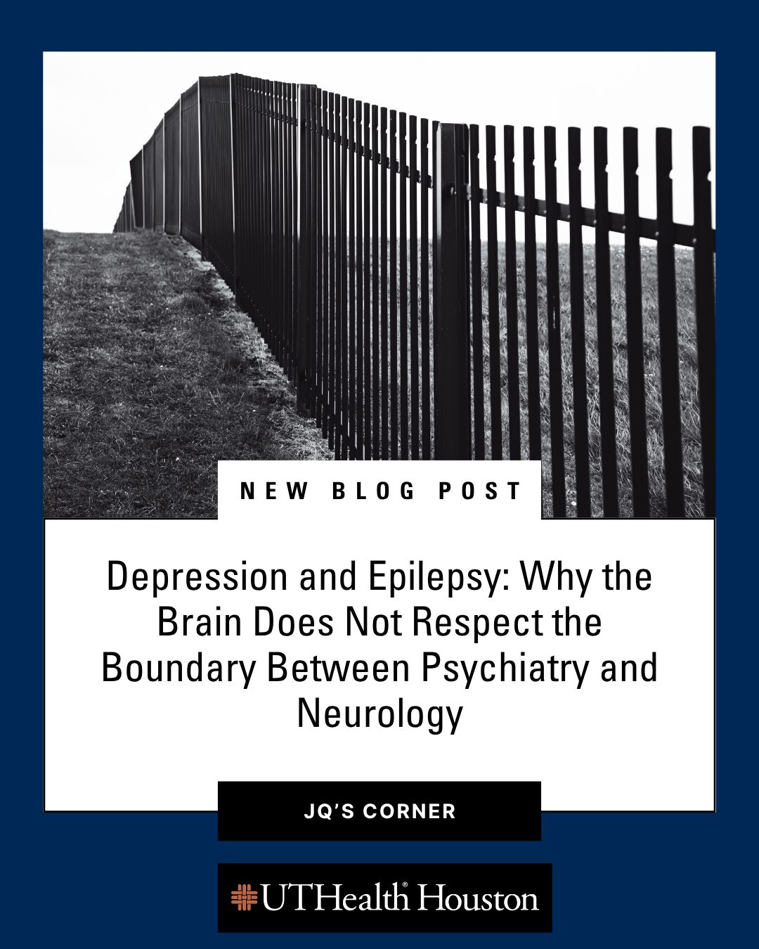 psychiatry and neurology blog post jq corner