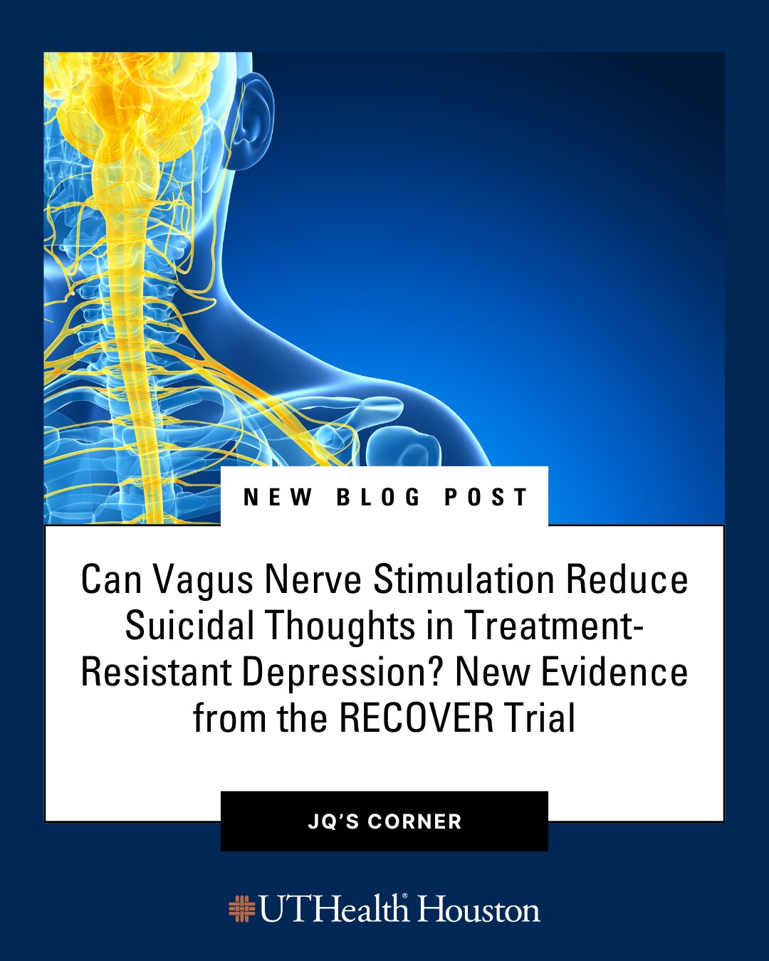 image for vns reduction blog post jq's corner
