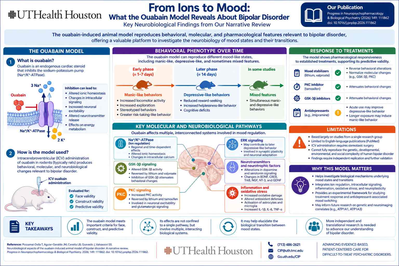 Fron Ions to Mood: Ouabain Model for Bipolar disorder infographic
