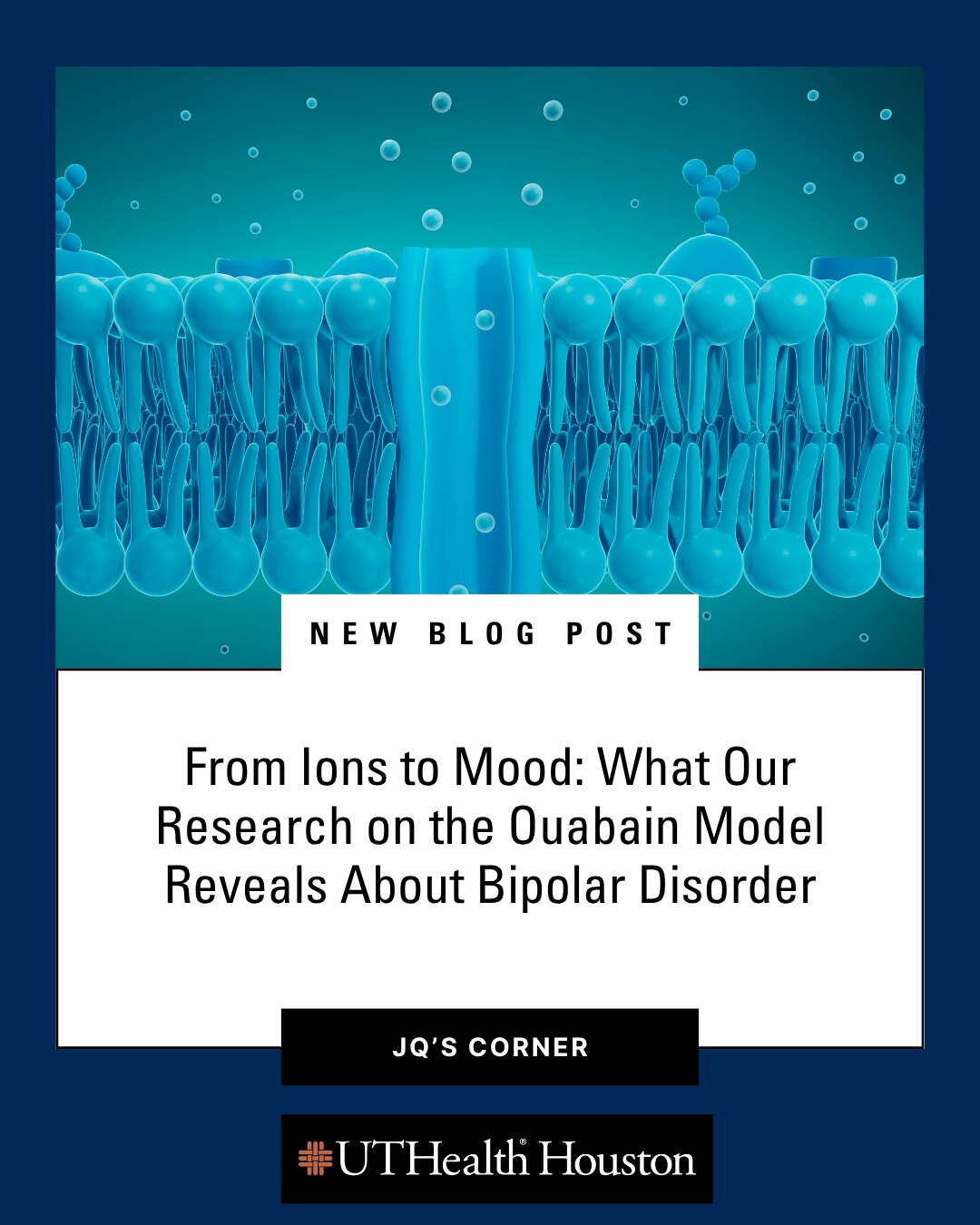Blog post thumbnail