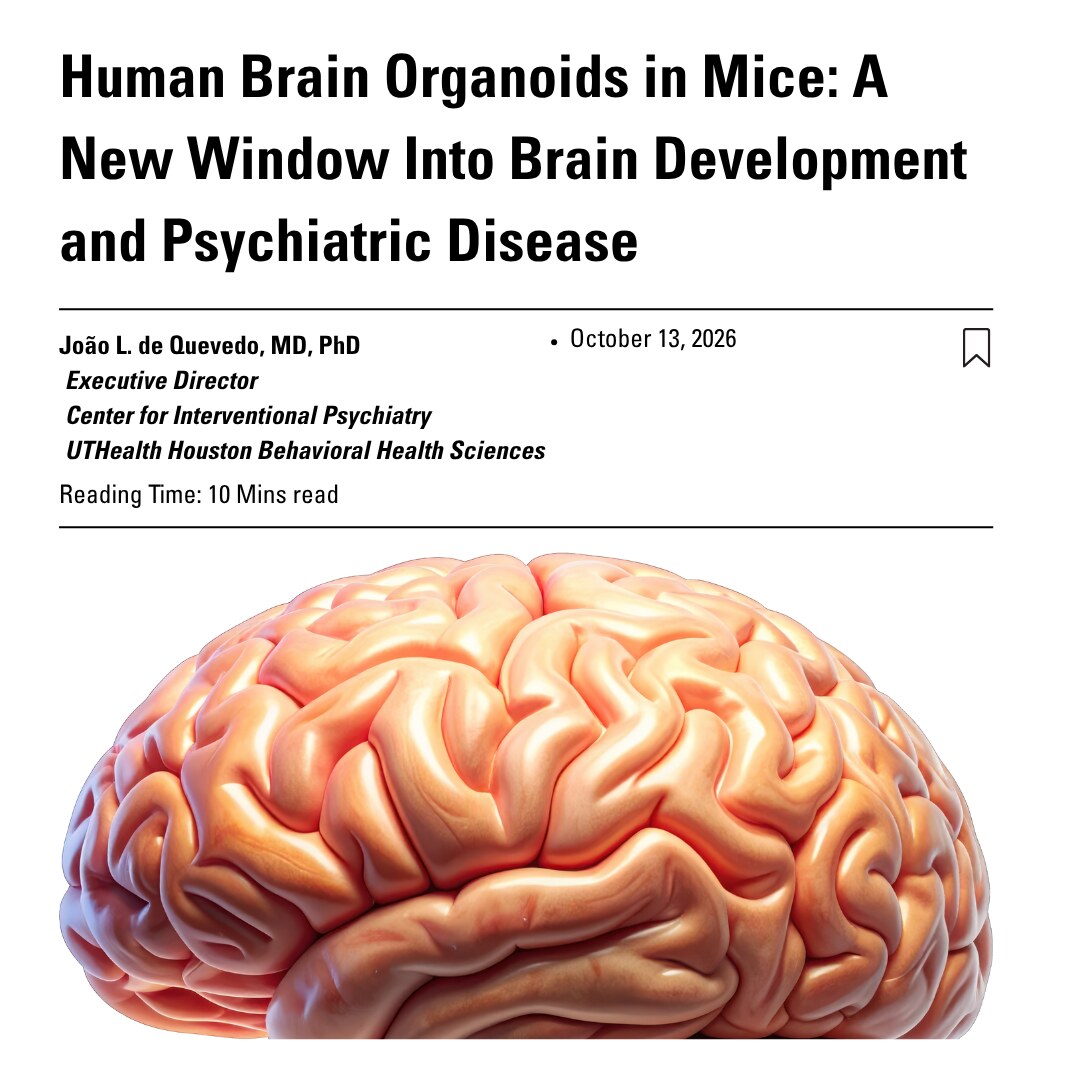 human brain organoids blog post