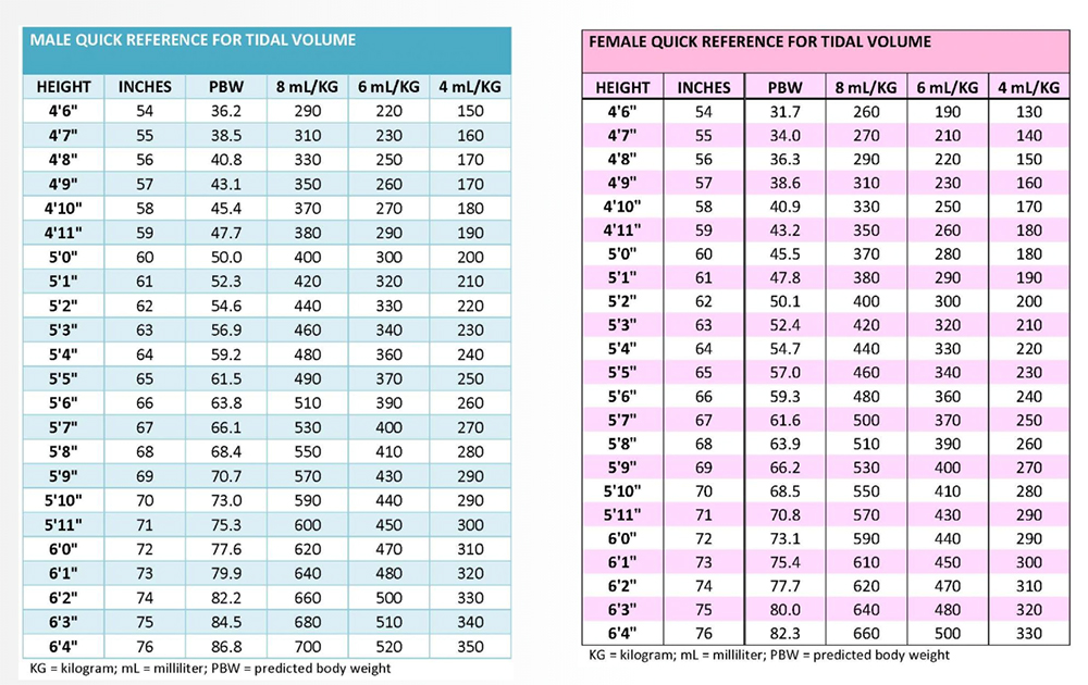 Male and Female Quick Reference for Tidal Volume